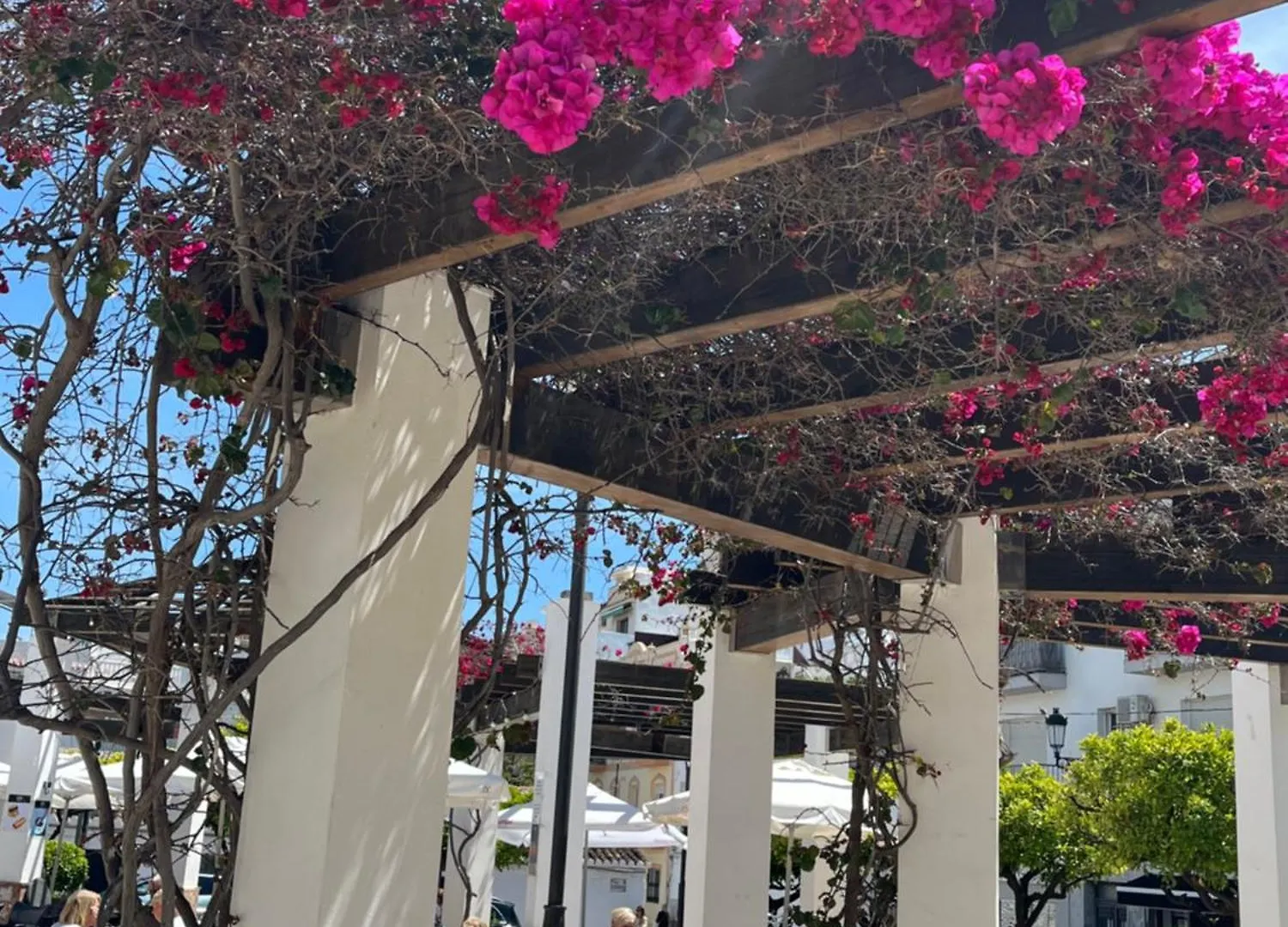 Sea&pool view garden apartment Las Palmeras Nerja